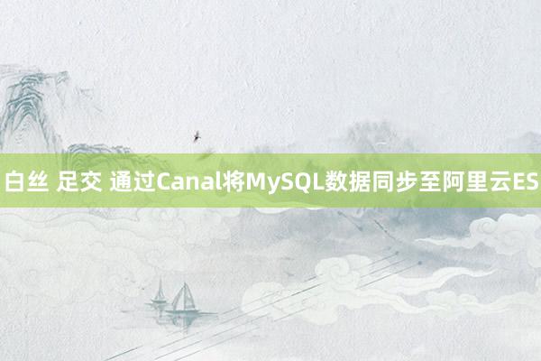 白丝 足交 通过Canal将MySQL数据同步至阿里云ES